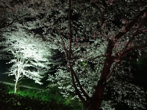 20140404 (15)