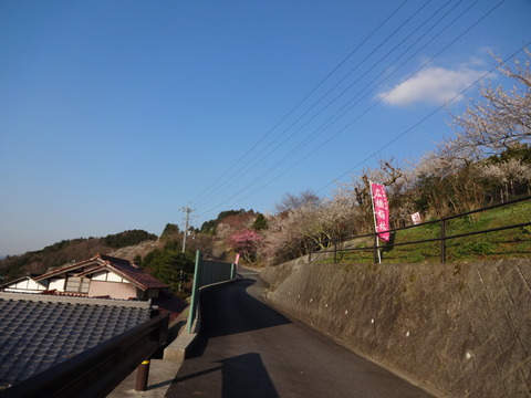 Hirohashibairin (45)