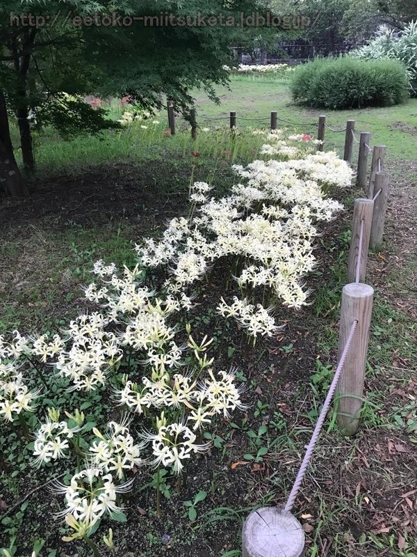 UmamiKyuuryou Park (24)