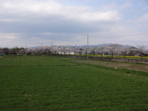 20140405 (2)