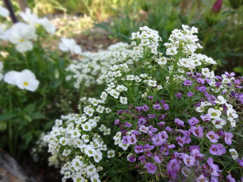 20140505 (60)