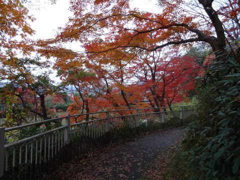 Tatsutagawa (32)