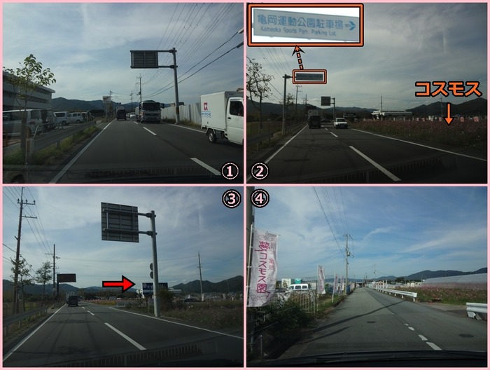 YumeCosmosEn (2)