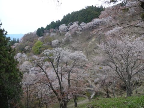 20140413 (18)