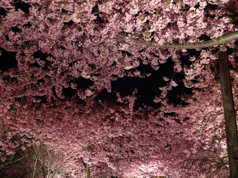 20140322 (145)
