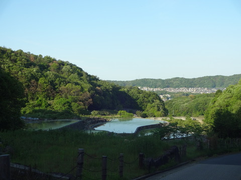 20140505 (97)