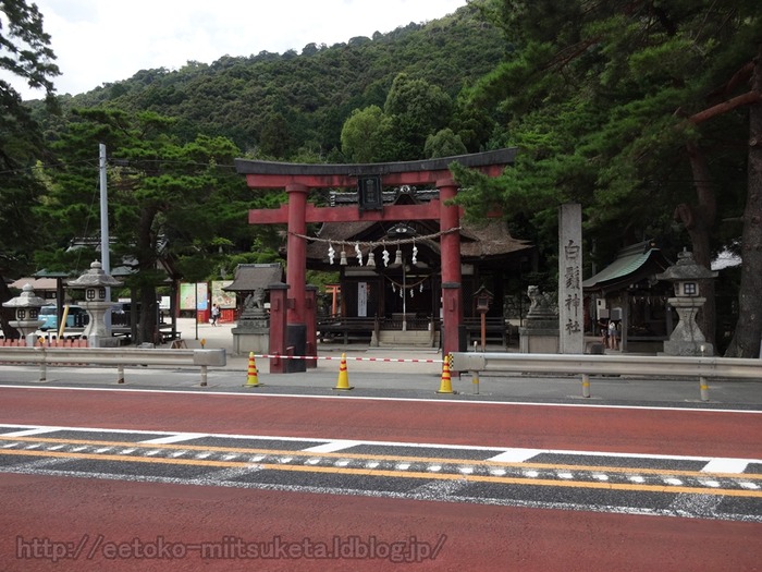 Shirahige (25)