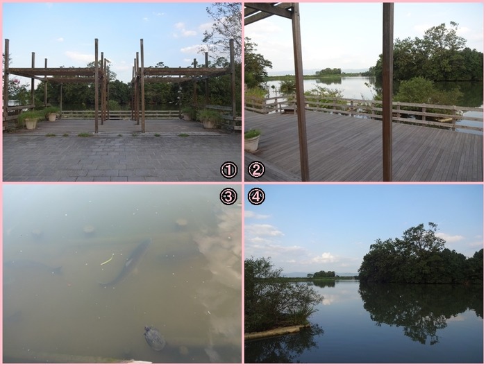 UmamiKyuuryou Park (16)