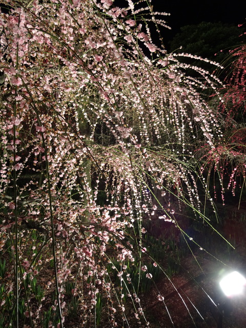20140322 (125)