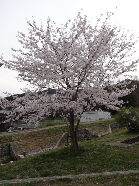 20140407t (58)