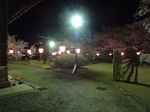 20140404 (31)