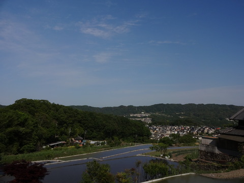20140505 (7)
