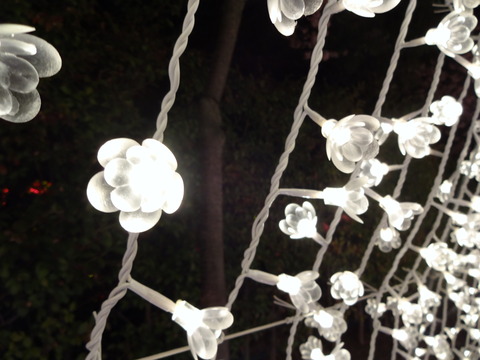 20140322 (163)