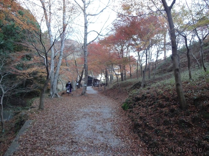 Suizawa-MomijiDani (15)