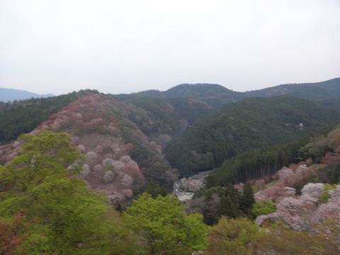 20140413 (51)