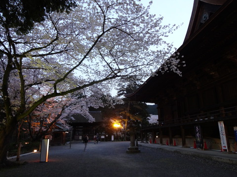 20140407 (30)