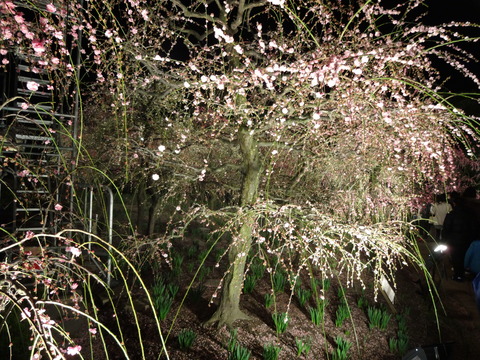 20140322 (124)
