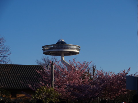 20140322 (29)