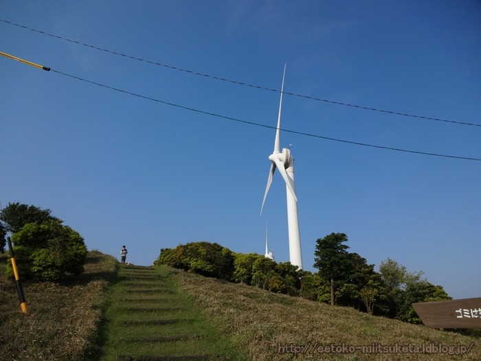 AoyamaKougen (19)