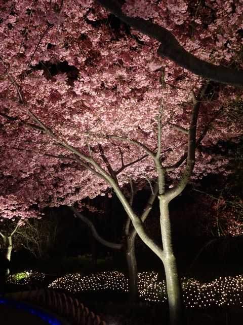 20140322 (146)