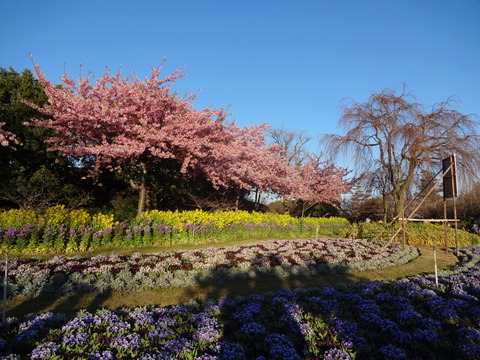 20140322 (65)