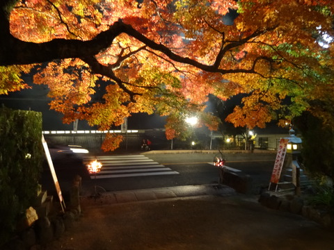 Tomijinjya (64)