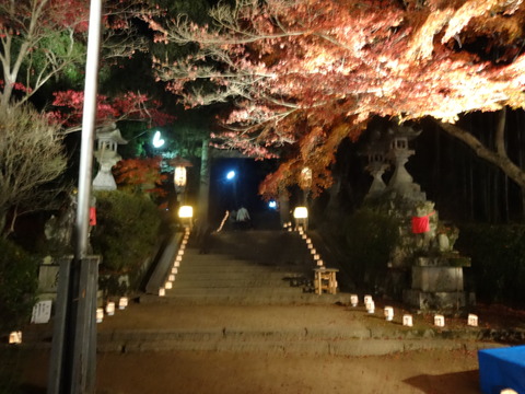 Tomijinjya (18)