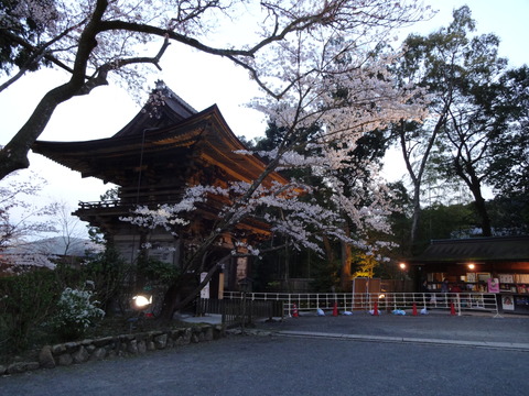 20140407 (16)