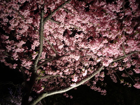 20140322 (108)