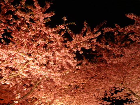 20140322 (141)