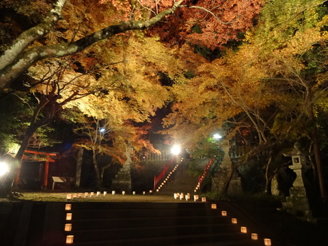 Tomijinjya (47)