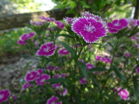 20140505 (61)