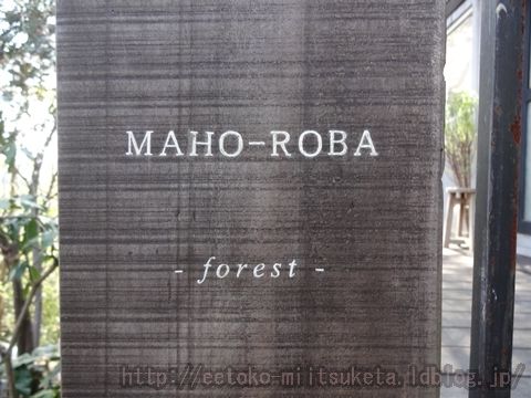 森の中にひっそり佇むカフェ！MAHO-ROBA forestみぃつけた！