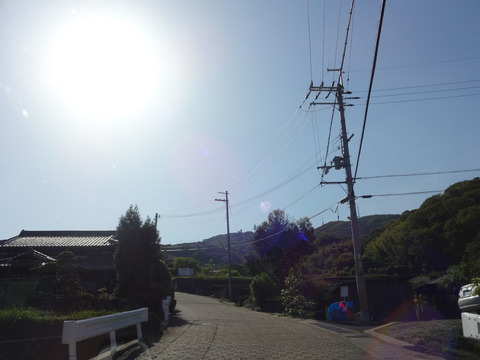 20140505 (10)