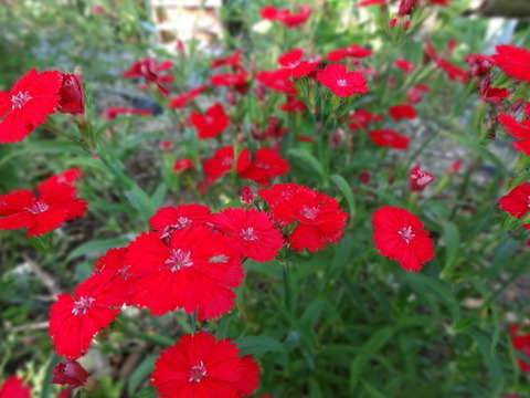 20140505 (62)