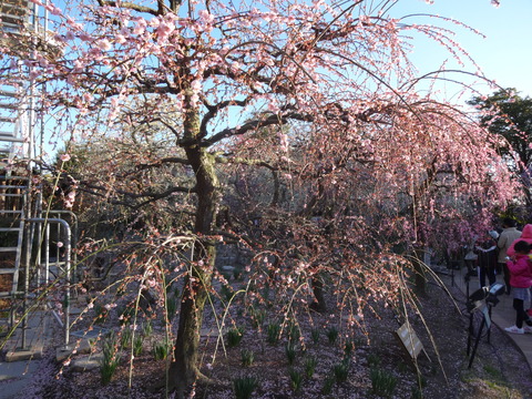 20140322 (32)