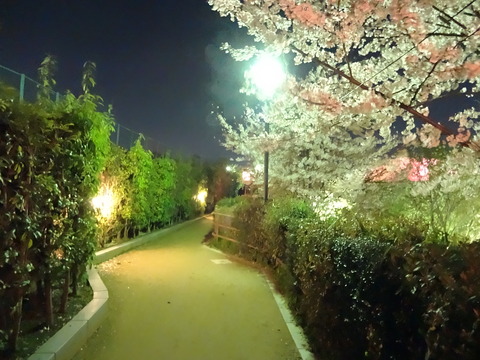 20140404 (20)