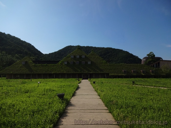 La_collina (31)