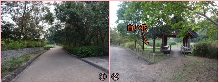 UmamiKyuuryou Park (23)
