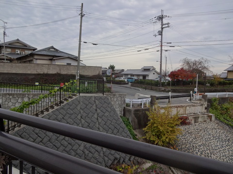 Tatsutagawa (12)
