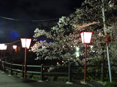 20140404 (79)
