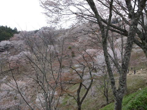 20140413 (21)