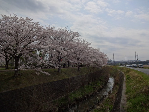 20140405 (39)