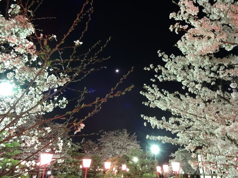 20140404 (40)