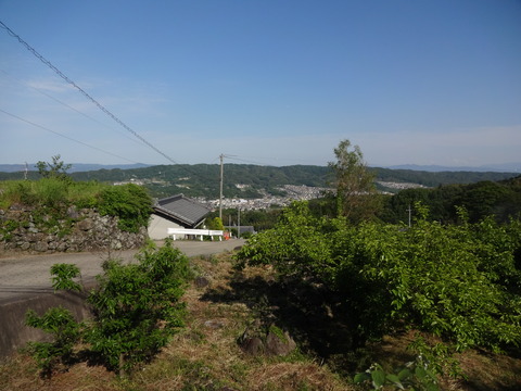 20140505 (18)