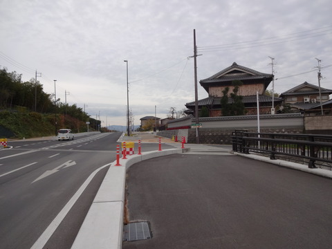Tatsutagawa (13)