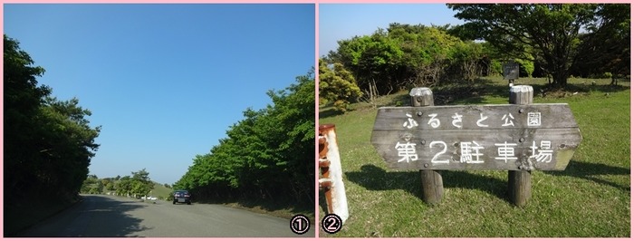 AoyamaKougen (3)