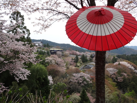 20140413 (14)