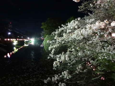 20140404 (81)