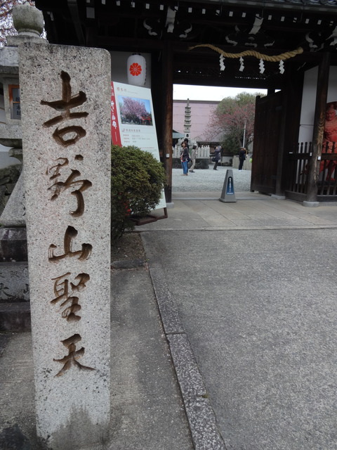 20140413 (39)